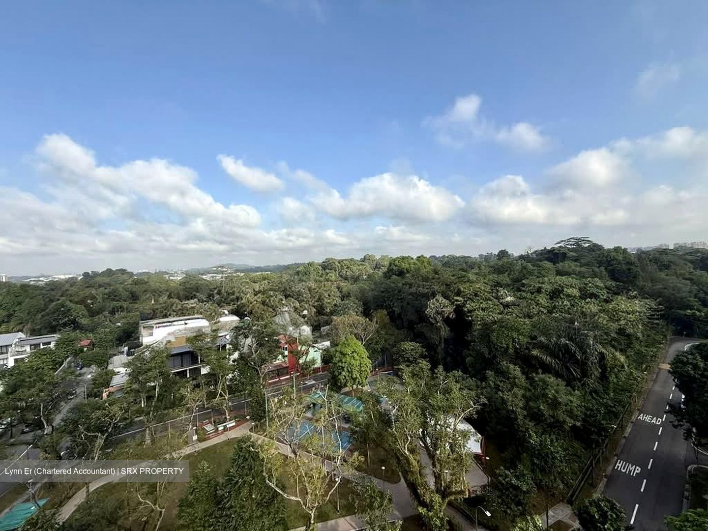 Goldhill Towers (D11), Apartment #528477931